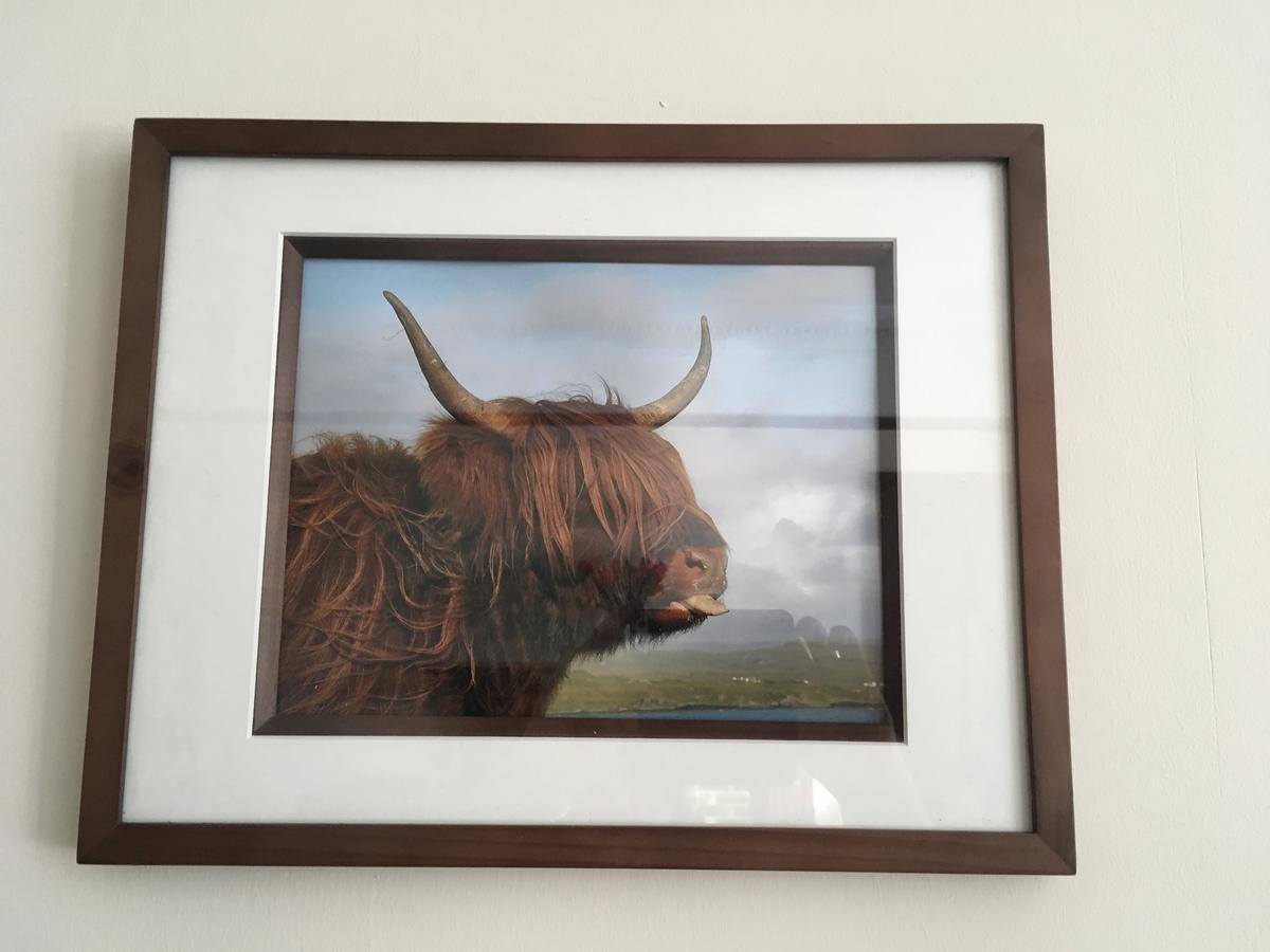 Kinnoch Lodge Inverness Kültér fotó